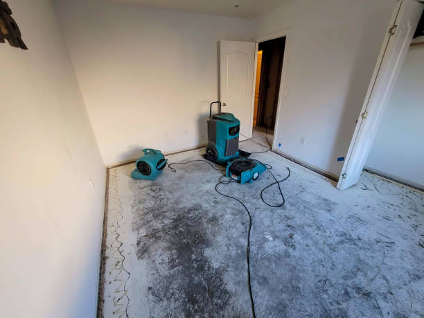 Best Water damage contractors near me  in Huntsville, AL