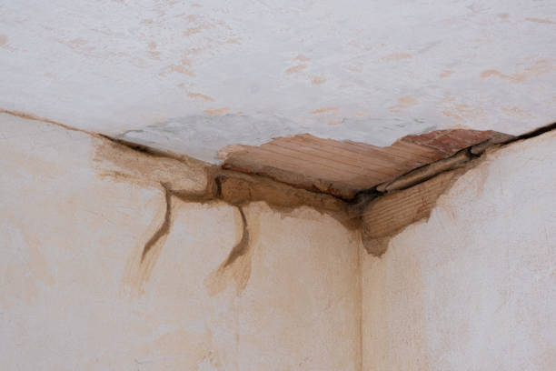 Best 24-hour water damage restoration  in Huntsville, AL