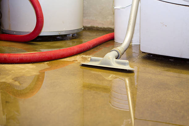 Reliable AL Water damage restoration Solutions