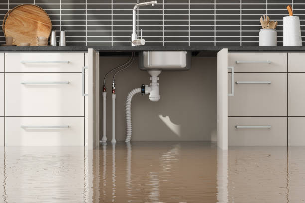 Best Flooded house restoration  in Huntsville, AL